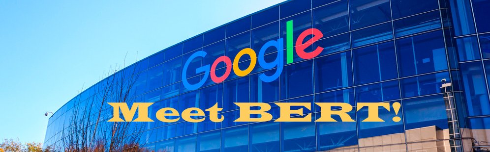 Google BERT Update