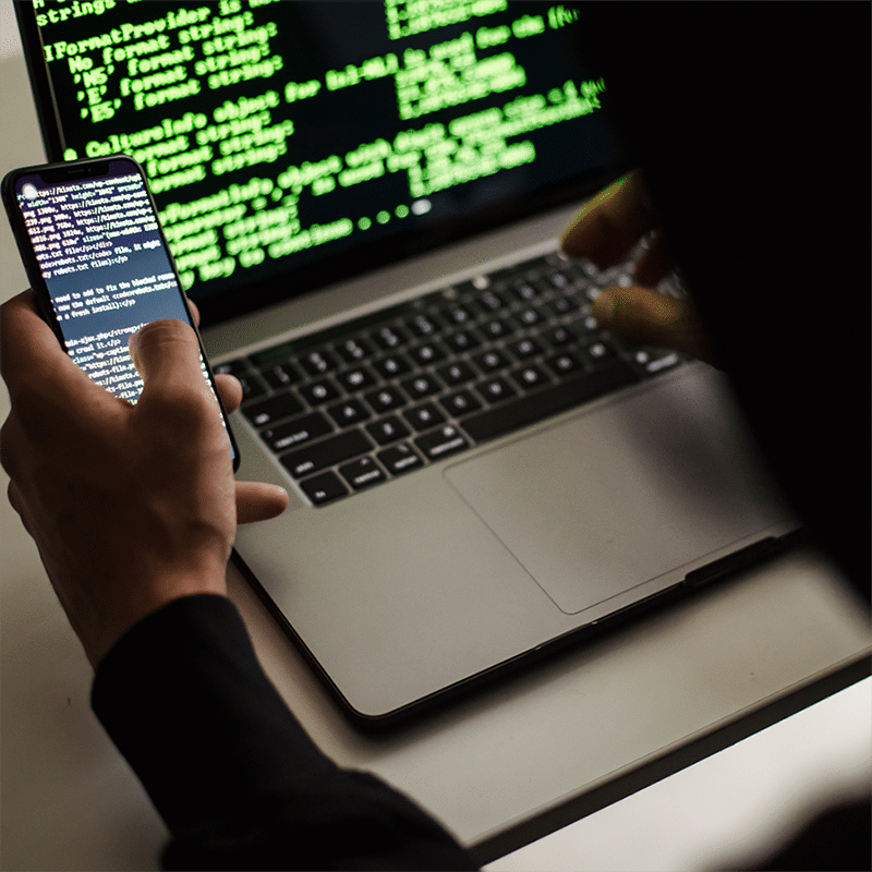Web Developer