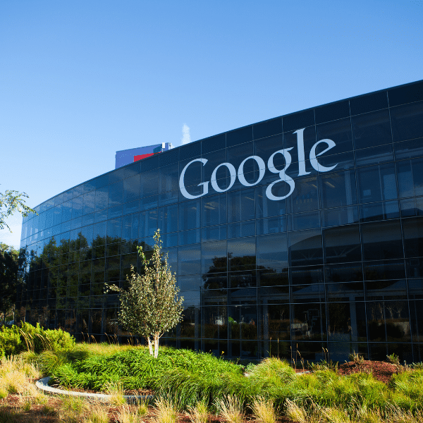 Attack of the Algorithm: What to do When a Google Update Affects Your Website